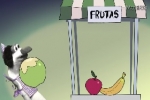 Meias Aventuras - A Barraca de Frutas