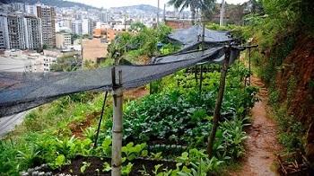 Agricultura Urbana: agroecologia, alimentação, saúde e bem-estar