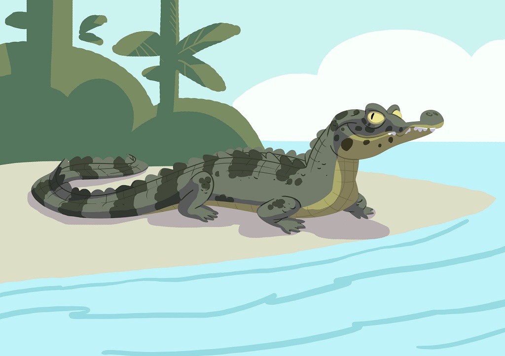 Wild Kratts Caiman | atelier-yuwa.ciao.jp